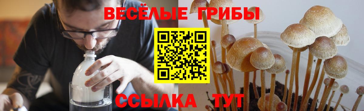 Майский  Псилоцибиновые грибы мицелий  Вход с VPN 